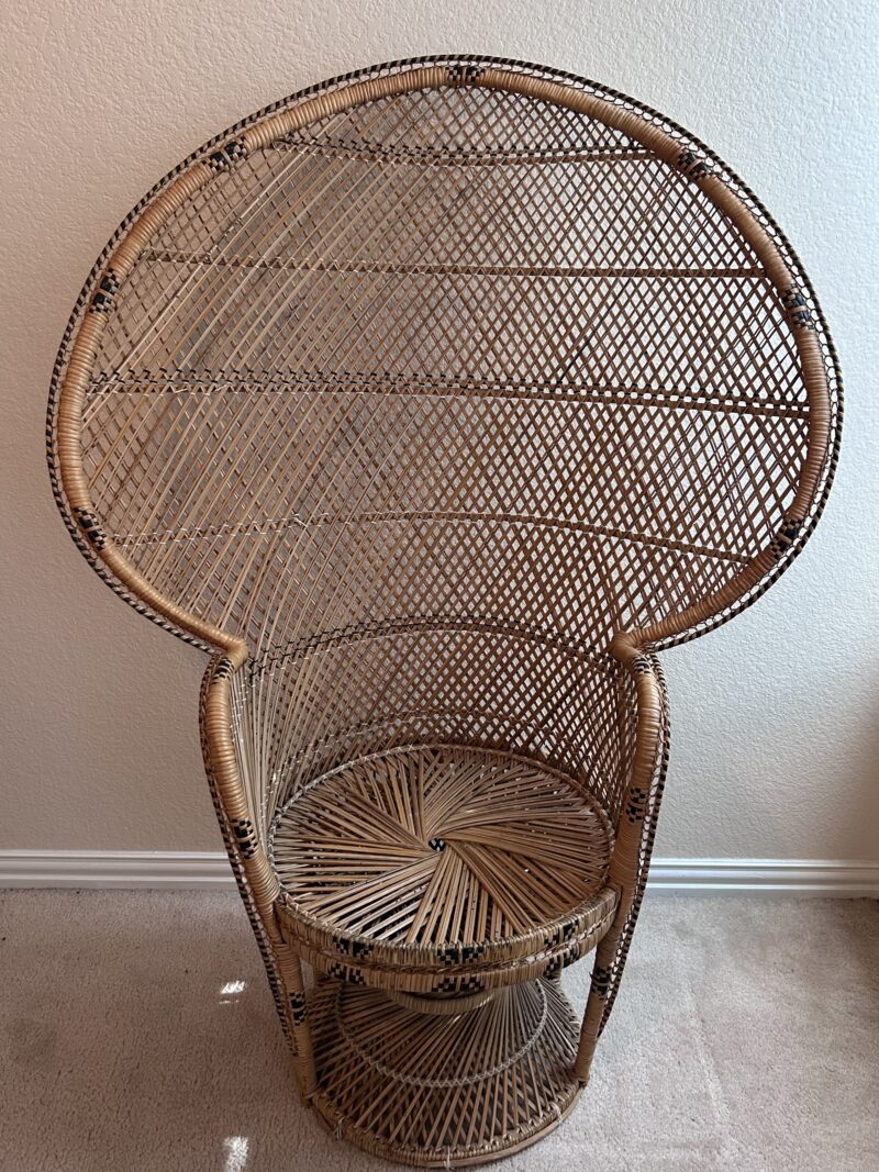 Peacock Chair